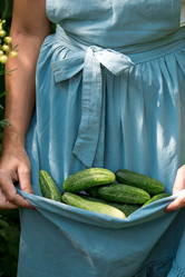 Similar image 21329378