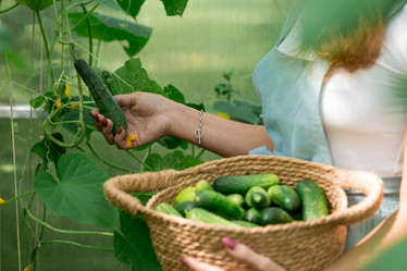 Similar image 21328961