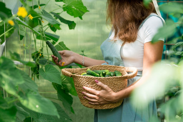 Similar image 21328969