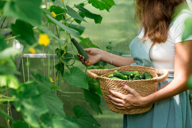 Similar image 21328976