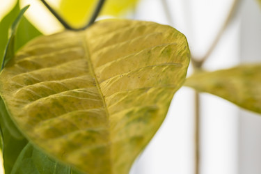 Similar image 21316094