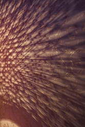 Similar image 21310887