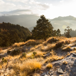 Similar image 21314470