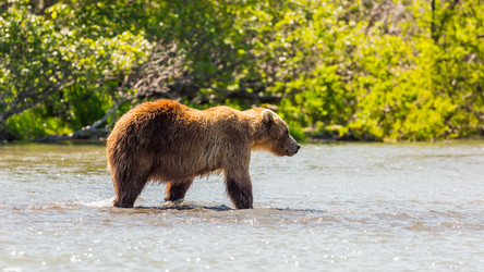 Similar image 21314476