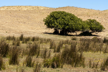 Similar image 21314487