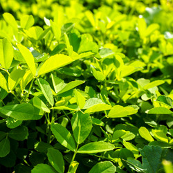 Similar image 21314491