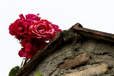 Similar image 21314492