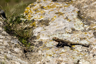 Similar image 21314496