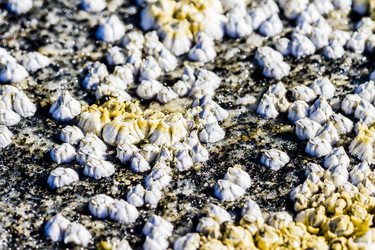 Similar image 21314498