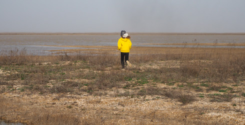 Similar image 21316104