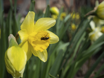 Similar image 21316105