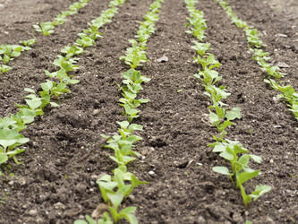 Similar image 21316106