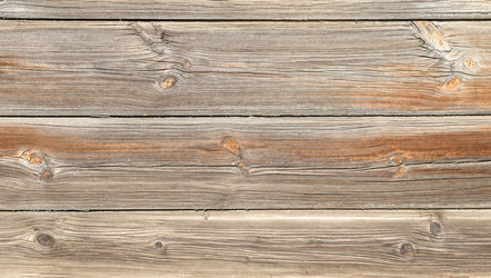 Similar image 21321497