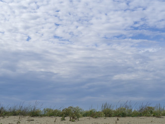 Similar image 21316128