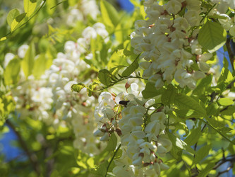 Similar image 21316129