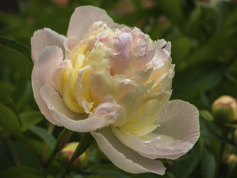 Similar image 21316132