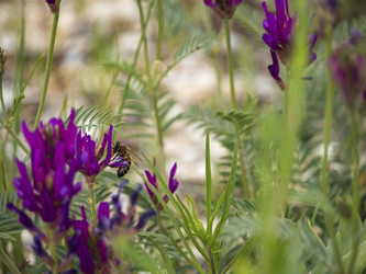 Similar image 21316133