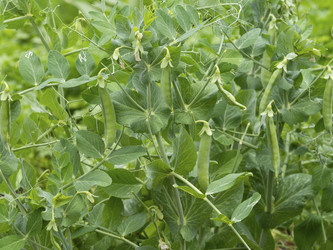 Similar image 21316135