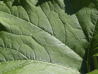 Similar image 21316137