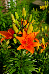 Similar image 21316138