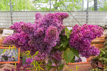 Similar image 21316139