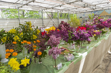 Similar image 21316140