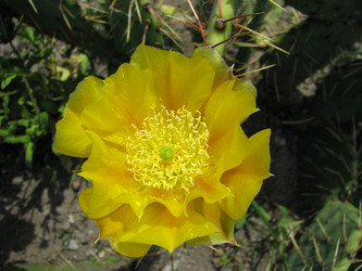 Similar image 21319506