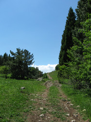 Similar image 21319509