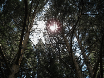 Similar image 21319510