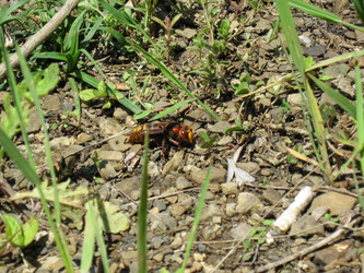 Similar image 21319511