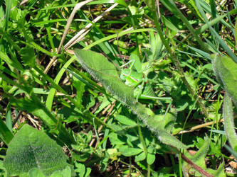 Similar image 21319512