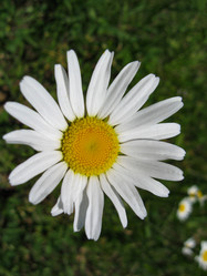 Similar image 21319513