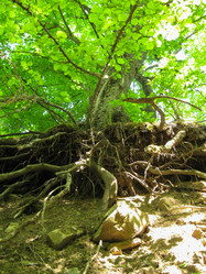 Similar image 21319514