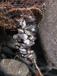 Similar image 21319515