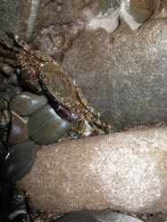 Similar image 21319518