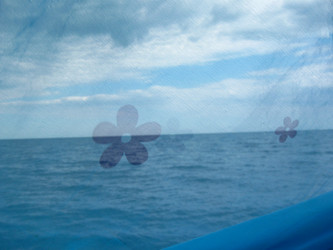 Similar image 21319520