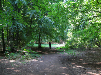 Similar image 21316143