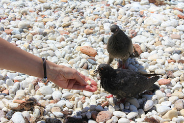 Similar image 21316144