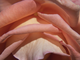 Similar image 21316147