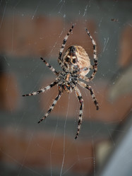 Similar image 21316150