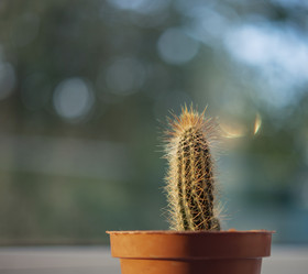 Similar image 21316151