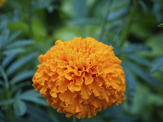 Similar image 21316153