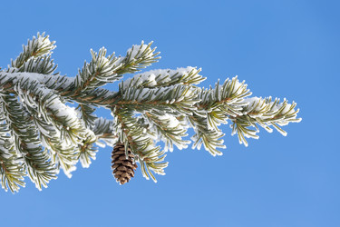 Similar image 21316167