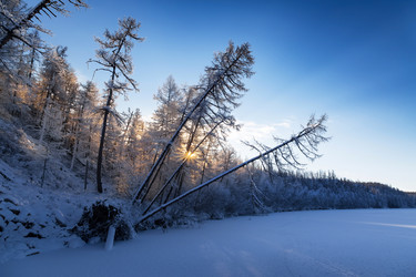 Similar image 21316168