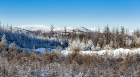 Similar image 21316179