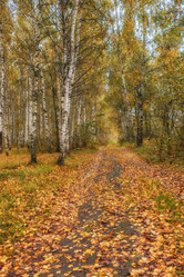 Similar image 21311448