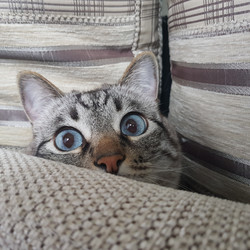 Similar image 21320675