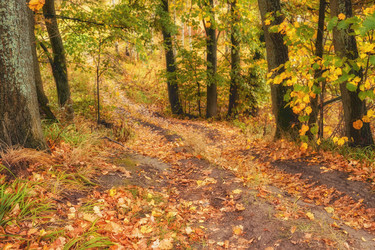 Similar image 21311516