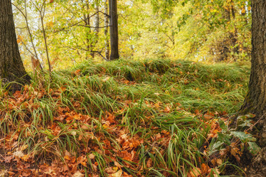 Similar image 21311518