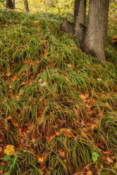 Similar image 21311522